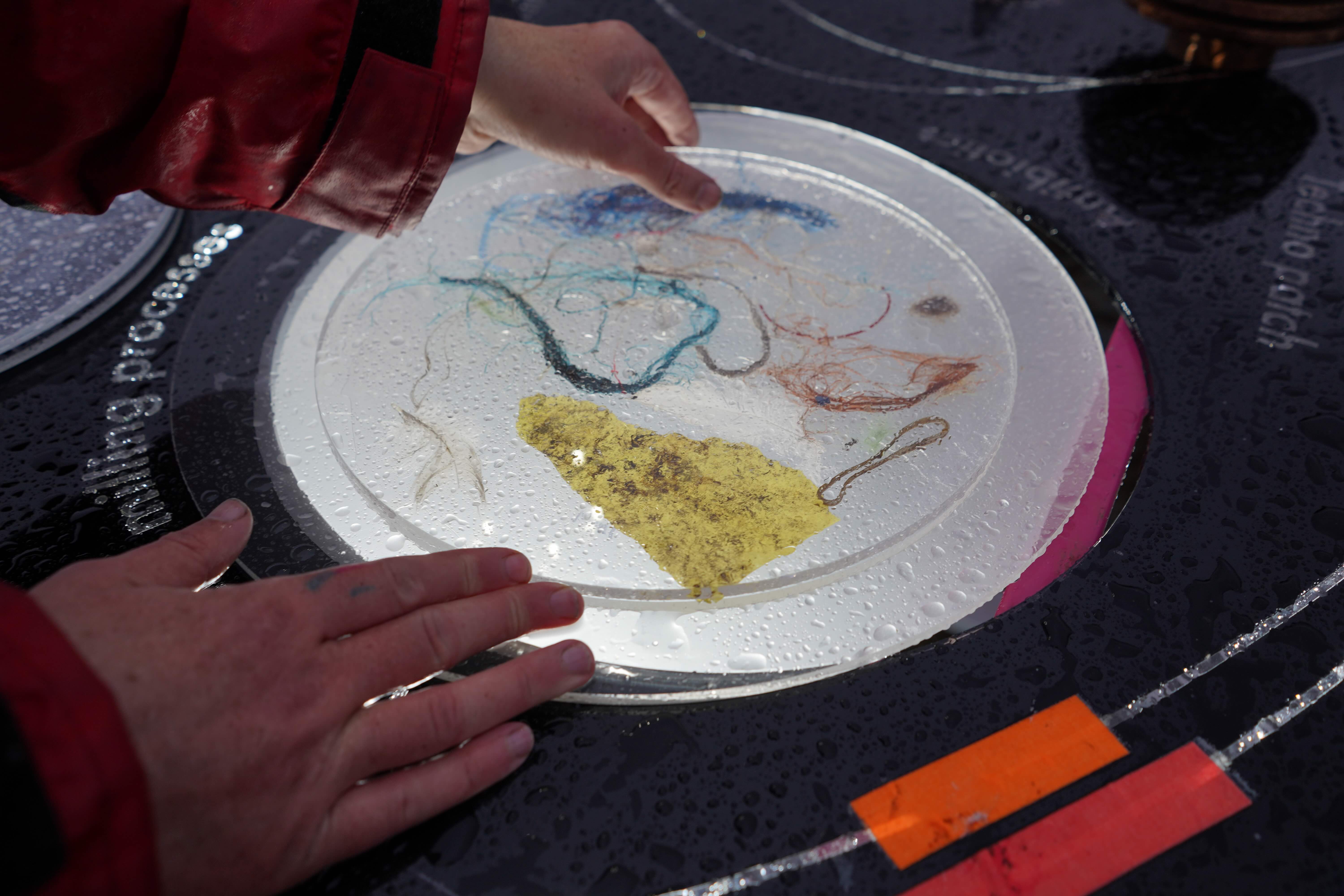 Description of image 5